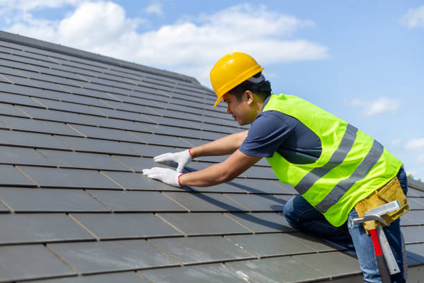 Best Roof Gutter Cleaning  in Ferron, UT
